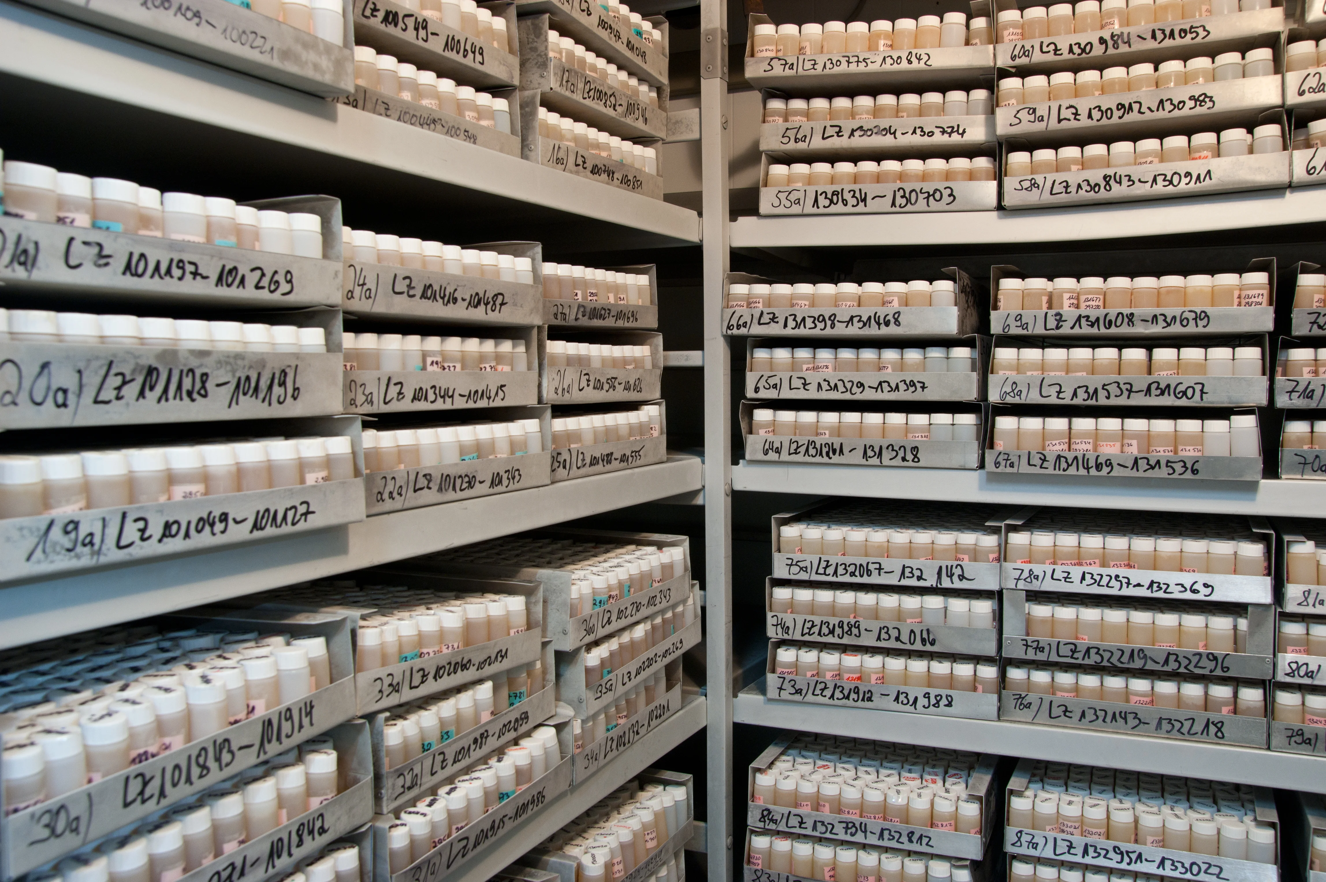 Biobank Urin2.jpg